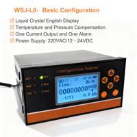 Débitmètre à zone variable avec totalisateur LCD, programmable, personnalisable OEM, pour air, fourni par une usine chinoise