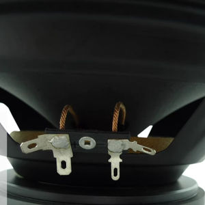 KYYSLB Haut-parleur de médium-grave de 8 pouces, unité de haut-parleur de 50-150 W, médium-grave de 8 ohms, néodyme, amplificateur audio domestique, haut-parleurs sonores - Product Image 4