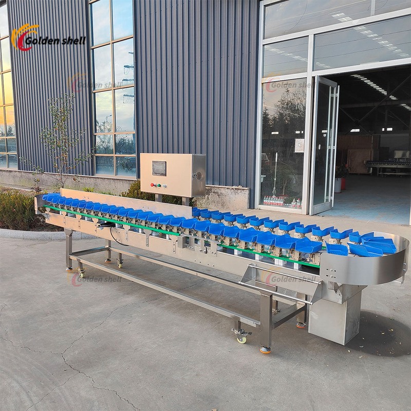 Mango Fruit Sorting Machine Fruit Sorter