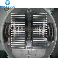 Middelgrote Mini Vacuüm Vriesdroger Te Koop Industriële Commerciële Vriesdroger Machine Voor Voedsel Vlees Fruit 5Kg 10Kg 100Kg, Enz