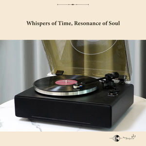 TRL30 personnalisé moderne <span class=keywords><strong>33</strong></span> 45 tr/min grande <span class=keywords><strong>platine</strong></span> <span class=keywords><strong>vinyle</strong></span> métal HiFi Bluetooth tourne-disque LP tourne-disque <span class=keywords><strong>vinyle</strong></span> avec haut-parleurs intégrés - Product Image 5