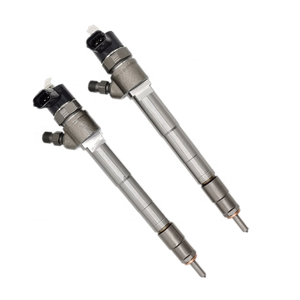 166000121R 0445110652 Common Rail Fuel Diesel Inj ector für R enault K <span class=keywords><strong>angoo</strong></span> - Product Image 4