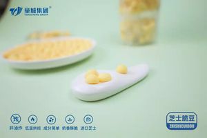 Variedad de <span class=keywords><strong>galletas</strong></span> de bolas de bebé sin azúcar, obleas con sabor a Caja de textura crujiente/cartón/lata Halal certificado miel queso mantequilla rodante - Product Image 6