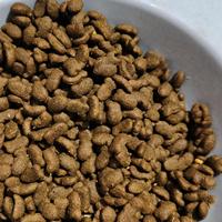 Aliments secs pour chats de qualité supérieure, recette poulet et poisson, croquettes complètes et équilibrées pour chats, vente en gros, fournisseur OEM ODM, directement de l'usine