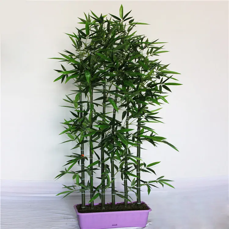 Fabrika toptan kapalı ve açık bahçe dekoratif simülasyon yeşil bitkiler bölme panosu yapay bonsai bambu ağacı