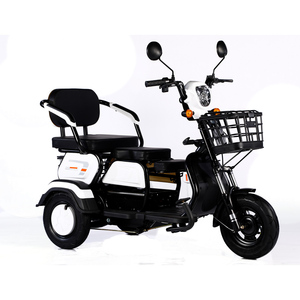 <span class=keywords><strong>2023</strong></span> vente en gros Ebike 3 roues <span class=keywords><strong>Cargo</strong></span> Tricycle 1000W 600W 48V 3 roues Tricycle électrique vélo pour adultes - Product Image 6