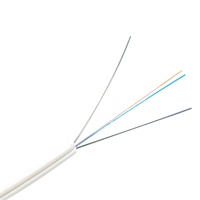 Kabel Optik Kulit untuk Komunikasi Dalam Ruangan Jaringan Akses GJXH, 2 Inti, Tahan Api