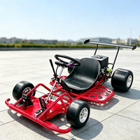 Kart Eléctrico para Adultos, Recargable, con Doble Tracción, para Carreras y Entretenimiento