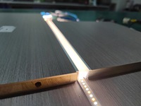 Le diffuseur flexible de silicone de néon de 10*10mm a mené le tube de silicone séparé de la bande menée