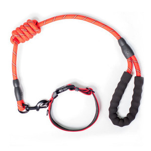 ชุดสายจูงสุนัขสะท้อนแสงไนลอนขนาดเล็กสำหรับสายรัดสัตว์เลี้ยงลายเรียบ - Product Image 2