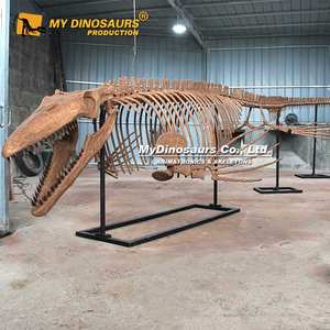 Squelette <span class=keywords><strong>de</strong></span> dinosaure mosasaure suspendu grandeur nature V - Product Image 2