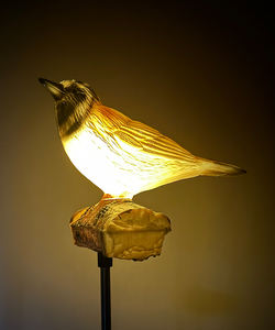 Luci Solari a LED da Giardino a Forma di Uccellino, Illuminazione per Sentieri e Vialetti - Product Image 4