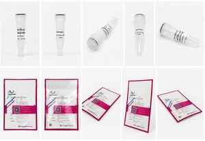 AREG Humano Recombinante EPT131 de Alta Calidad para Investigación - Product Image 6