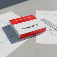 P6 Lifetime One Drive Send Download Link Stand-alone Engineering Project Management Software Orac Primavera P6