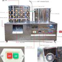Machine à Plumer la Volaille Mini Entièrement Automatique pour Cailles, Oiseaux et Poulets, en Acier Inoxydable, Moteur d'Abattage pour l'Enlèvement des Plumes