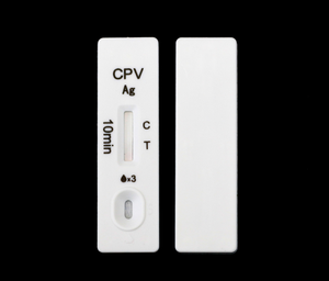 Kit de <span class=keywords><strong>test</strong></span> rapide d'antigène pour la maladie de Carré chez le chien, bandelettes de <span class=keywords><strong>test</strong></span> vétérinaire, outil de diagnostic - Product Image 6