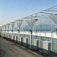 Serre en polycarbonate résistante aux intempéries, à structure robuste, avec panneaux en polycarbonate résistants aux intempéries