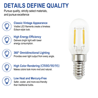 Ampoule LED T8 économique 2W E12 5000K 250lm CRI>80 Lumière du jour pour éclairage intérieur Vente en gros Certifiée CE/ETL/RoHS