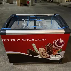 Congelatore <span class=keywords><strong>Solare</strong></span> con 3 Scomparti 12V/24V per Gelati 258L con Porta in Vetro Curvo per Supermercati Adattatore AC/DC - Product Image 1