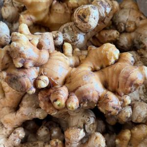 Чистый органический высококачественный сушеный корень старого имбиря с фермы Гуанси, бренд Yongjiang, срок хранения 3-6 месяцев - Product Image 4