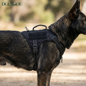 Set di Collari e Guinzagli per Cani da Servizio Personalizzati OEM, in Nylon Resistente, con Logo Personalizzato - Product Image 6