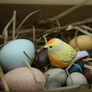Fait à la main Pâques une douzaine d'oeufs d'oiseau multicolore Nature en bois couleur vive tri jouets Montessori jouet éducatif en bois pour les enfants