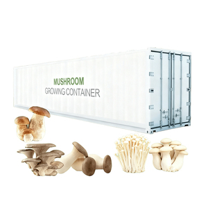 Huifa trong nhà trang trại phát triển đầy đủ trang bị nấm trồng trọt container <span class=keywords><strong>hydroponics</strong></span> hệ thống dọc nhà máy nhà máy hoàn chỉnh thiết lập - Product Image 2