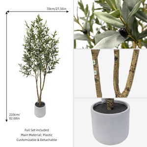 Arbre d'olivier artificiel B2B de 210 cm (7 pieds) <span class=keywords><strong>en</strong></span> pot, style mince de luxe avec écorce texturée réaliste <span class=keywords><strong>pour</strong></span> décoration d'angle ou pièce à poser au sol - Product Image 3