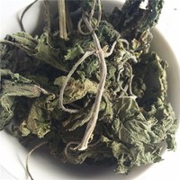 Thé aux feuilles d'ortie sauvage séchées Xun Ma Ye OEM/ODM, feuilles d'ortie piquantes séchées