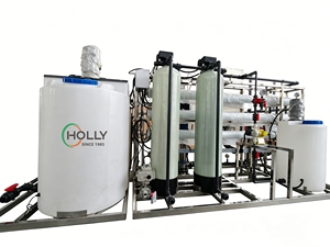 Sistema di Purificazione dell'Acqua a Osmosi Inversa 500L/Ora con Pompa PLC e Riduttore Marca Holly - Product Image 4