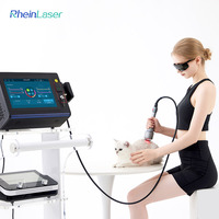 Cliniques vétérinaires, appareil de thérapie laser pour animaux, appareil de thérapie laser de classe IV pour chiens, chats, chevaux, 30W-60W