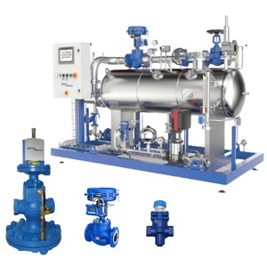Régulateur Bule 25P/DP27 avec Endress Hauser pour système en acier au carbone, fonte, Spirax Sarco - Product Image 4