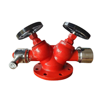 Vanne d'incendie à double sortie en fonte DN65, entrée 100 mm, pour station d'incendie - Direct Fabricant