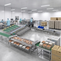 Ligne de tri d'œufs entièrement automatique, capacité de 60 000 œufs par heure, équipement de calibrage du poids des œufs pour élevages avicoles