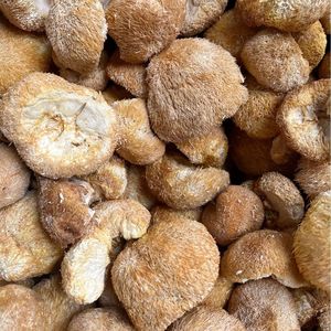 Suplemento de <span class=keywords><strong>hongos</strong></span> comestibles al por mayor: Hongo de dientes barbudos <span class=keywords><strong>en</strong></span> venta - Product Image 4