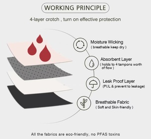 Culottes sexy en tissu de haute qualité 8H 50ml pour femmes adultes, non-tissées, en Spandex / Coton / Fibre de Bambou, style Hipster, 500 pièces - Product Image 6