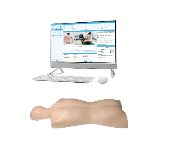 Modelo de Espalda de Maniquí para Entrenamiento de Acupuntura y <span class=keywords><strong>Tuina</strong></span> de Medicina Tradicional <span class=keywords><strong>China</strong></span> para Ciencias Médicas - Product Image 4