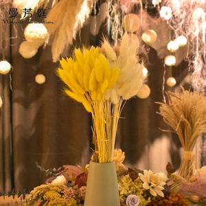 50 pcs/pack Rose Fleurs Décoratives Lapin Herbe Bébé <span class=keywords><strong>Lagurus</strong></span> Bundle Plantes Bouquet Naturel Ovatus Séché Lapin Queue de Resup - Product Image 3