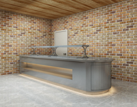 Présentoir de plats à buffets en acier inoxydable, 2 pièces, pour buffet, meuble de table, station de distribution pour cuisine de restauration commerciale