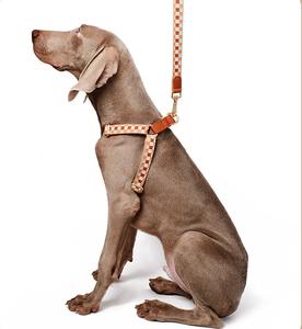 Venta al por mayor precio de fábrica de lujo personalizado suministros para mascotas de nylon duradero <span class=keywords><strong>collar</strong></span> de perro arnés Correa conjunto para perros grandes - Product Image 4
