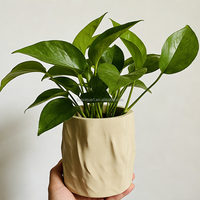 Pot Mini Beton Tekstur Kerut Wabi-Sabi Buatan Tangan Tekstur Khusus Warna & Logo Kustom Pot Kecil Sukulen Oxalis untuk Meja