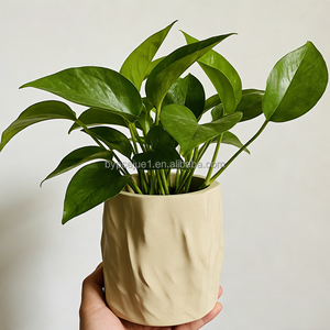 Mini <span class=keywords><strong>pot</strong></span> <span class=keywords><strong>en</strong></span> béton texturé effet froissé Wabi-Sabi fait main, couleur et logo personnalisables, pour succulentes et oxalis de bureau - Product Image 3