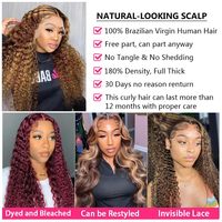 Nouvelle Arrivée Perruque Longue Bouclée Synthétique Tendance pour Femmes Européennes et Américaines, Cheveux Bruns Transparentes Naturellement Volumineuses, Fabriquée à la Machine