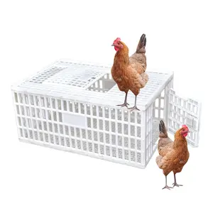 900*600*405mm plastik broiler kafes fiyatı kümes hayvanları tavuk kafesleri broiler çiftliği için