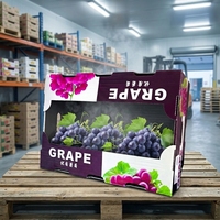 Caisse à fruits professionnelle en plastique robuste à paroi épaisse de 4 mm, résistante aux UV, 250x200x80mm, pour la vente en gros