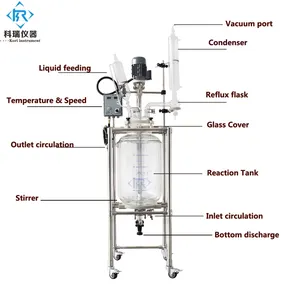 Reactor de vidrio de laboratorio de 50L, doble capa, hidrógeno, chaqueta