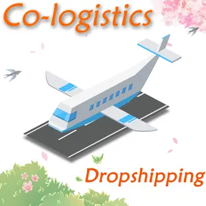 Migliore di yiwu agente di logistica di trasporto dropshipping di yiwu di trasporto aereo di merci spedizioniere ddp ddu cooperare logistica co ltd espresso