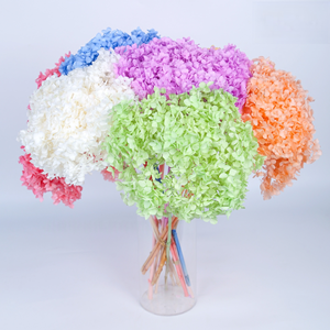 Bán Buôn Khô Tú Cầu Hoa Bảo Quản Nở Hoa Cho Đám Cưới Trang Trí Nội Thất, Home DIY Thủ Công Mỹ Nghệ & Quà Tặng Sắp Xếp - Product Image 1