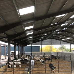 מודרני מסורתי טרומי מבנה פלדה טרומי מסגרת פרה עבור משק בקר חלב בנייה מהירה בית בקר - Product Image 4