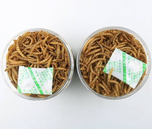 Vermi della farina secchi <span class=keywords><strong>Tenebrio</strong></span> Molitor per rettili di criceto e altri piccoli animali - Product Image 3